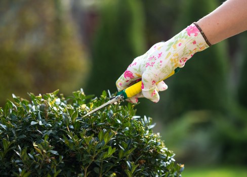 Landscaping team preparing a garden project