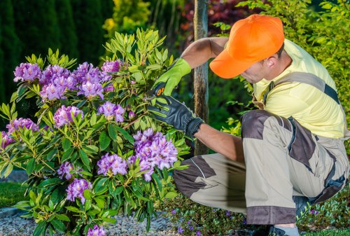 Garden makeover planning for a Cranford home with new layout ideas