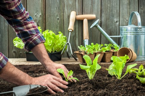 Accessible Cranford landscaping page introduction with inclusive design focus