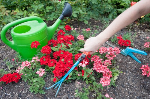 Backyard landscaping in Cranford with patio space and layered greenery