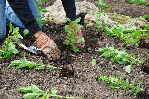 Supplier audit and compliance review in a landscaping supply chain