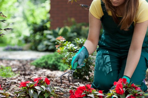 Professional landscaping team completing work with safety measures in place