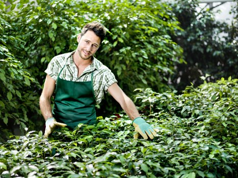 Accessibility requests section for local landscaping Cranford users