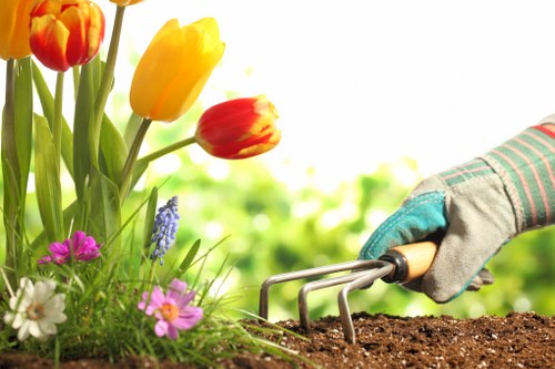 Patio and garden water management solution in Cranford