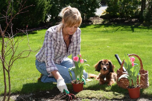 Soft landscaping installation for a tidy outdoor space in Cranford