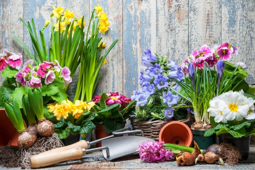 Local garden drainage service for homes and businesses in Cranford